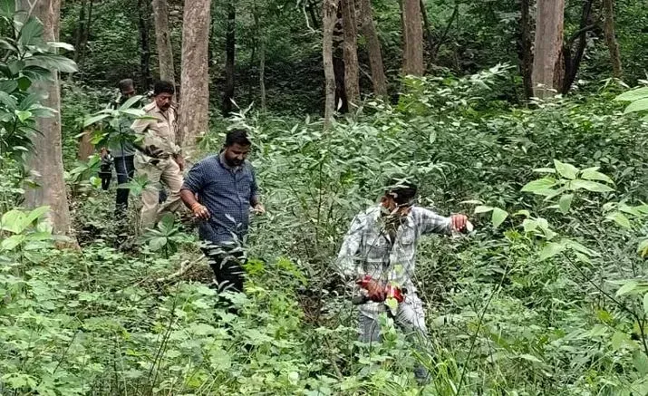 MP Archana Tiwari Missing Case