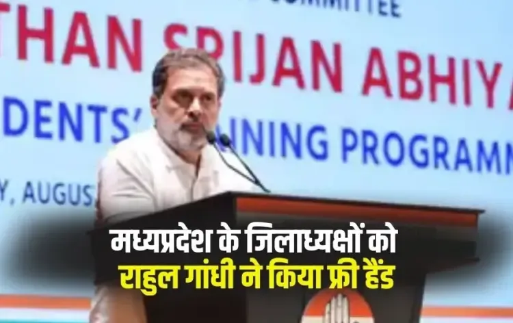 MP Congress Rahul Gandhi