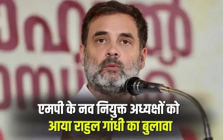 MP Congress Rahul Gandhi