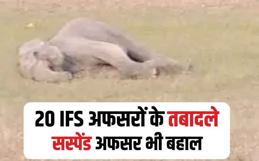 MP IFS Officer Transfer