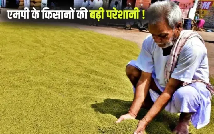 MP Moong Kharidi 2025 Payment