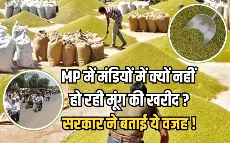 MP Mung Kharidi 2025