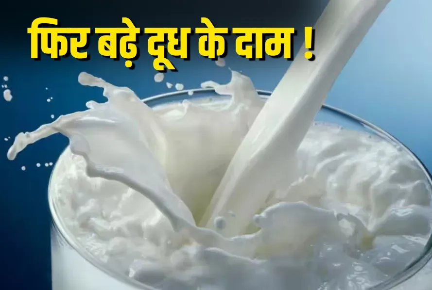 Mother Dairy Milk Price Hike 2025