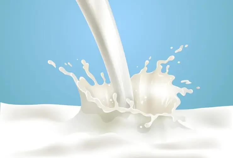 CG Milk Price Hike 2025