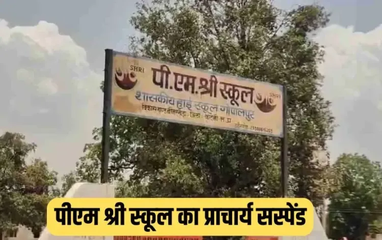 PM Shri School Principal Suspend