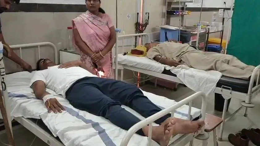 TI Death Bee Attack Ujjain