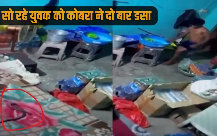 UP Baghpat cobra bites teenager twice died hospital viral video