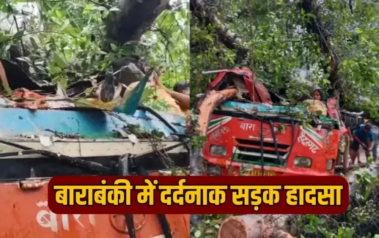 UP Barabanki Road Accident 5 dead including driver big tree fell hindi news zxc