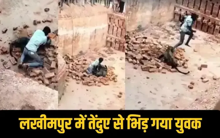 UP Lakhimpuri Kheri leopard attack young man caught by forest team zxc