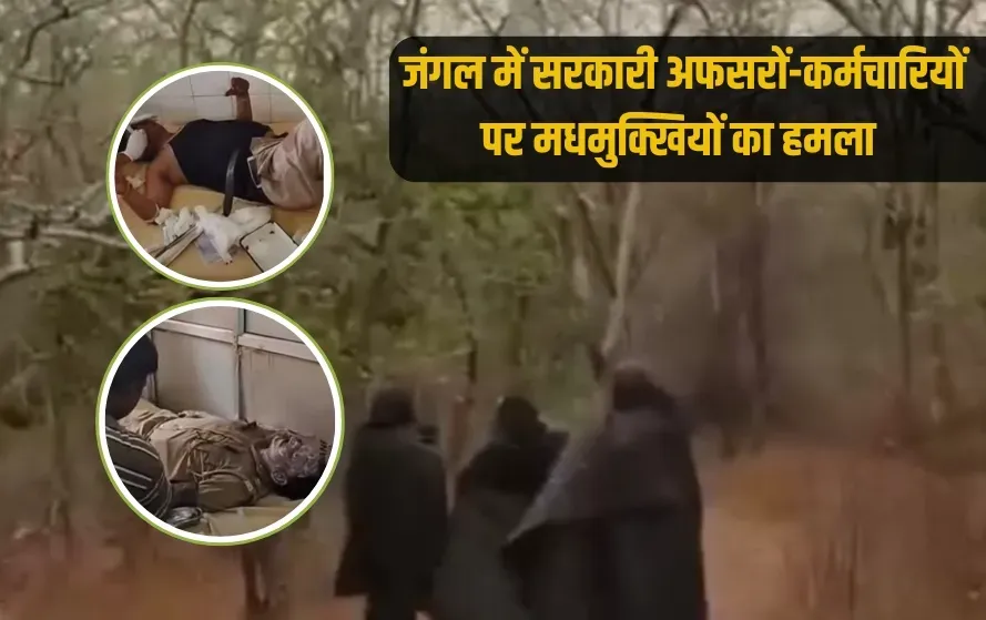 UP Lalitpur government officers employees attacked bees CDO fainted stings zxc