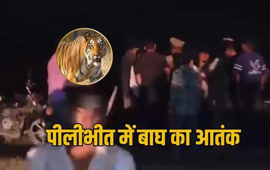 UP Pilibhit Tiger Attack Video Farmer zxc