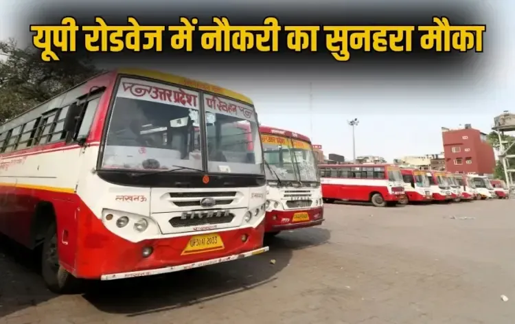 UP Rojgaar Mela 2025 UPSRTC driver recruitment 204 bus driver 3200 female bas parichalak zxc