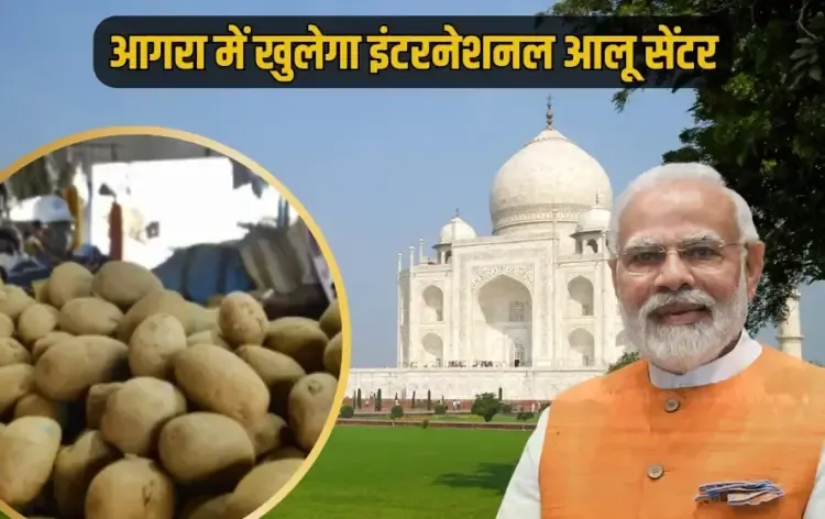 Union Cabinet Meeting announcement Agra international potato centre hindi news zxc