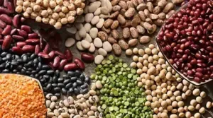 Chhattisgarh Seed Production Subsidy, CG Tilhan Beej Anudan