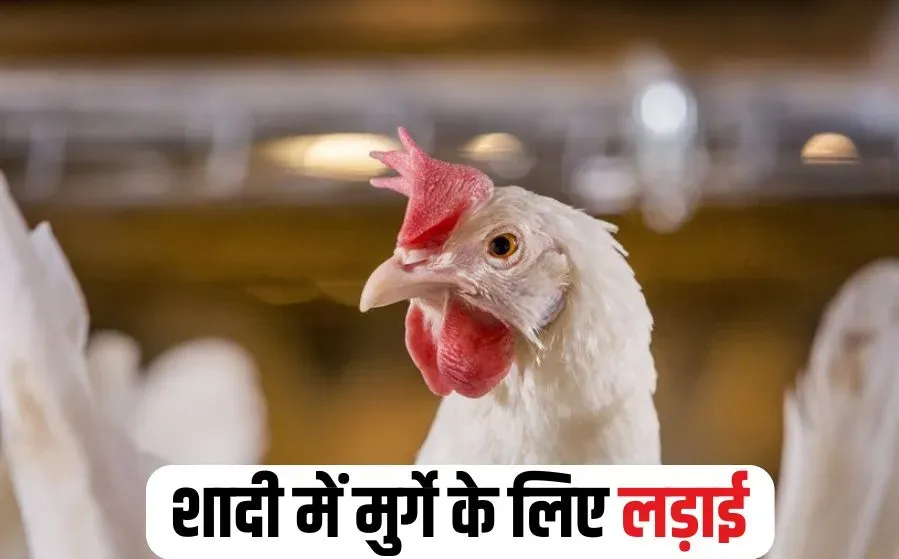 Vidisha Marriage Fight