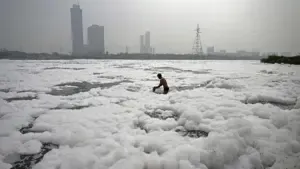 Yamuna is polluted in Delhi