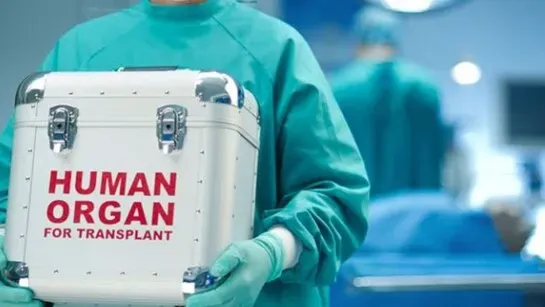 human organ donation