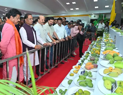Raipur Mango festival Varities 