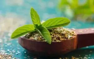 Cold Cough Home Remedies 