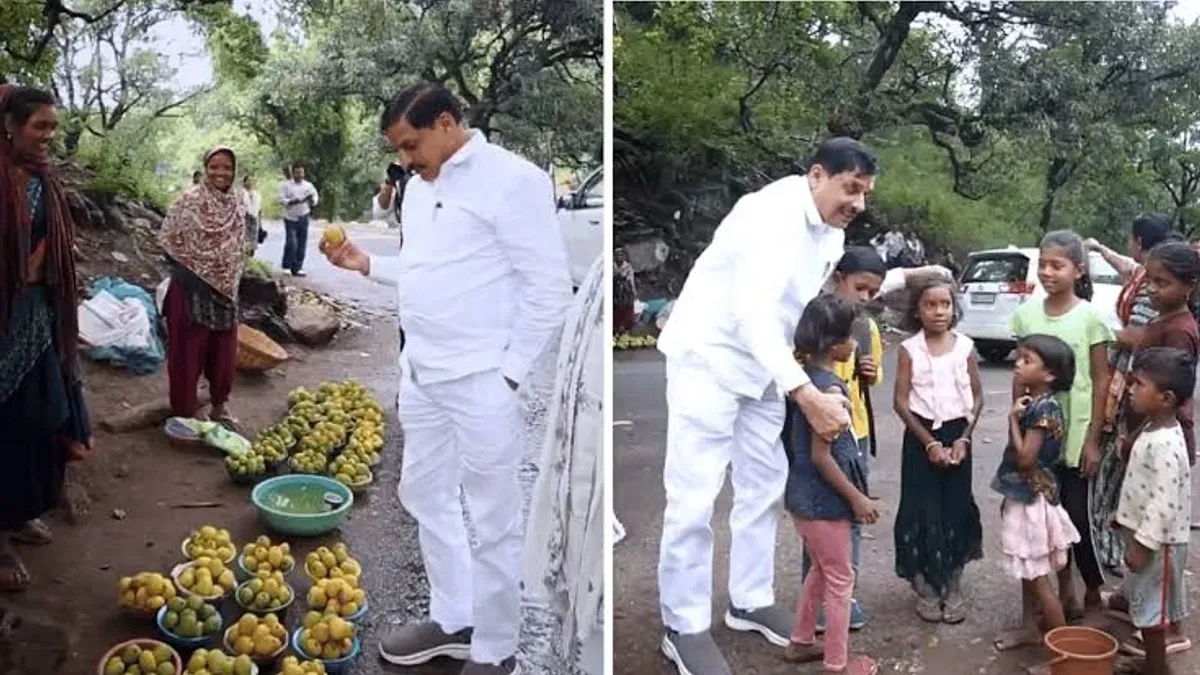 mohan yadav pachmadi