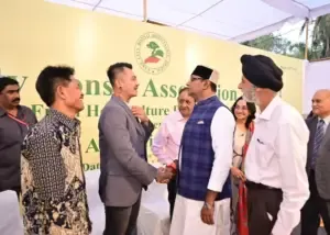 bonsai plant exhibition