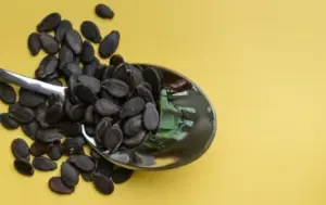 तरबूज़ के बीज