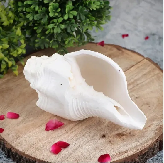 माँ लक्ष्मी को दिवाली पर दक्षिण मुखी शंख जरूर चढ़ाएं