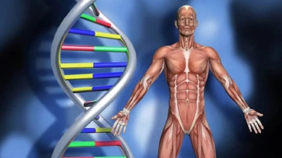 इम्यूनिटी बढ़ाते हैं