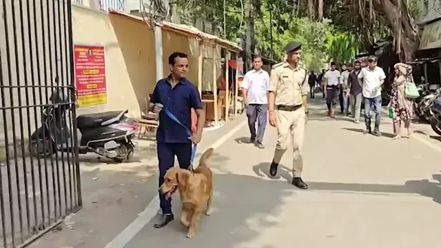 News Article Hero Image