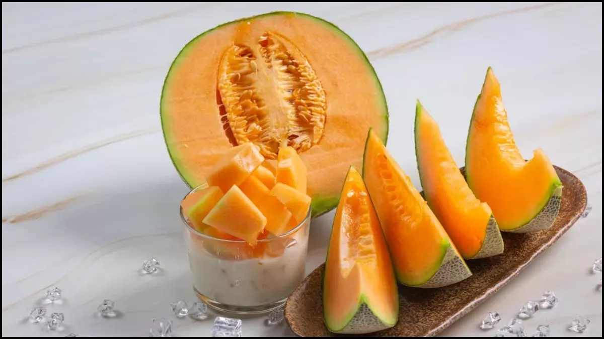 Benefits of Muskmelon: इम्युनिटी बढ़ाने से लेकर दिल को हेल्दी बनाने तक, खरबूजा खाने से मिलते हैं ये फायदे - Benefits of Muskmelon eating kharbuja in summer is beneficial in kidney stone