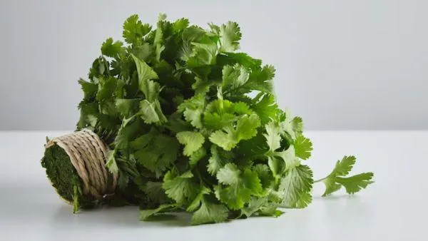 Coriander Leaves For Skin Glow: 3 Ways To Use - Boldsky.com