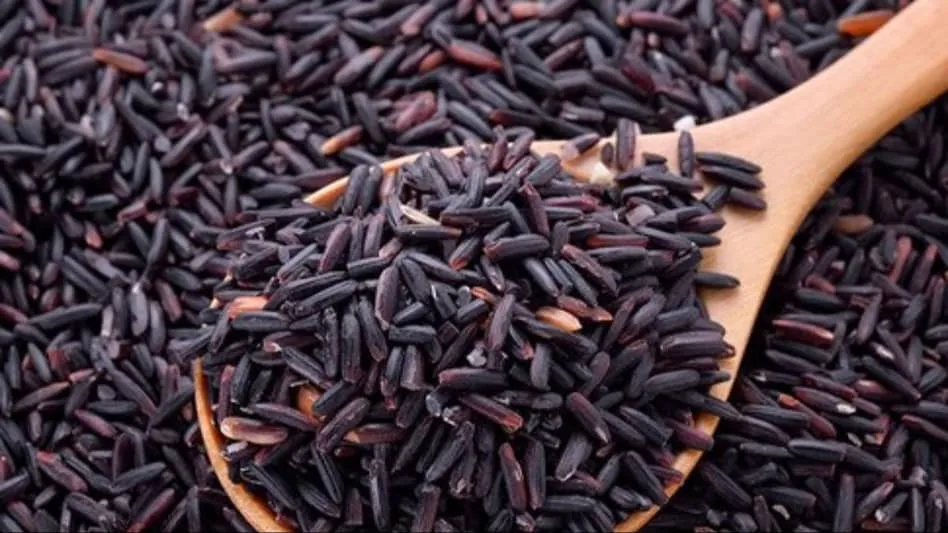 Kala Chawal: वेट लॉस से लेकर कई गुणों से भरपूर है ये चावल, जानें इसकी खासियत - Kala Chawal is full of many properties black rice also used for weight loss and