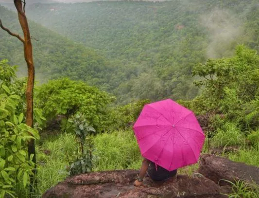 Neelam Sarai Water Fall: तीन पहाड़ियों की चढ़ाई फिर है नीलम सरई, जन्नत है ये जगह! - CG Tourism Neelam Sarai waterfall of Bijapur is the best picnic spot of Chhattisgarh -