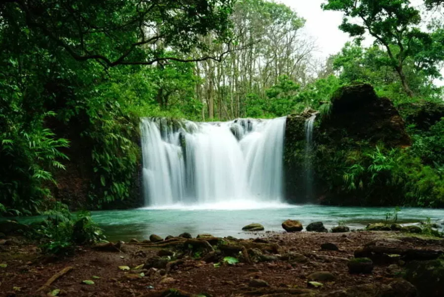 Mainpat: A Hidden Gem of Chhattisgarh