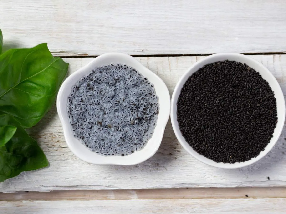 Chia vs Sabja seeds: How are they different? | The Times of India