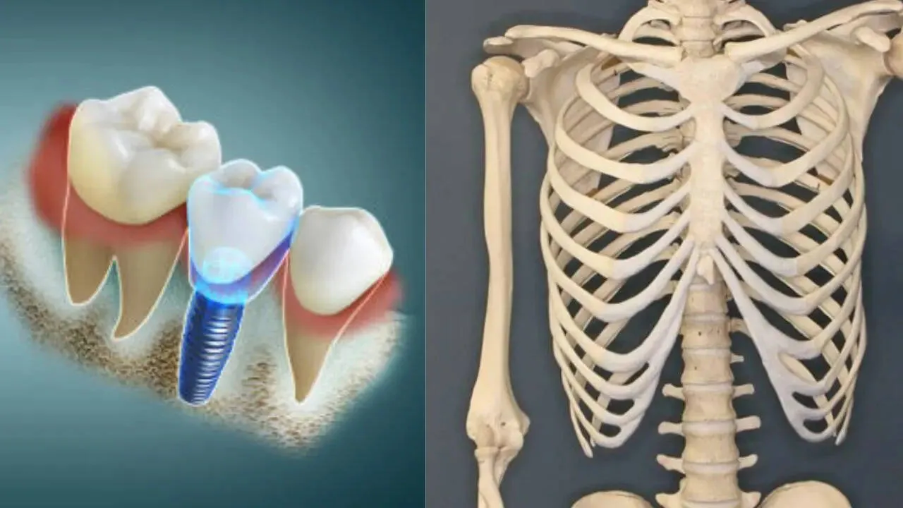 हड्डियों और दांतों को बनाता है मजबूत