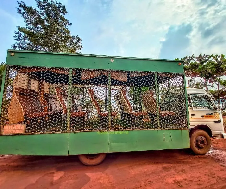 Jungle Safari, Nandan Van Zoo, Raipur, Tourism, 2022 | How to reach Jungle Safari, Safari, Timing, Things to do, Charges - Tripinvites - TripInvites