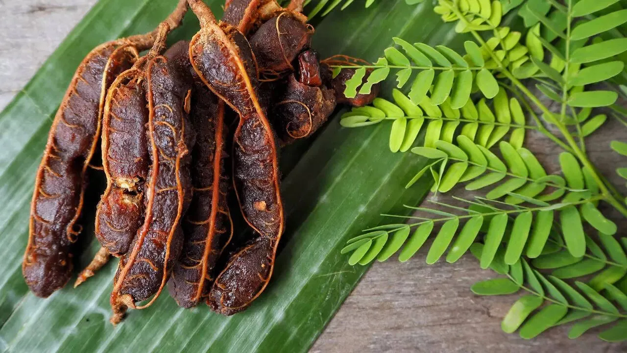 side effects of tamarind on health in hindi-खट्टी इमली के हैं दीवानें? ज्यादा खाने से पहले जान लें इसके नुकसान | हेल्थ News, Times Now Navbharat