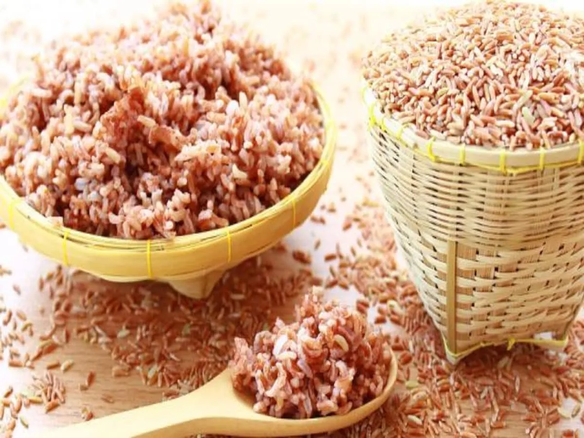 brown rice kya hota hai aur kaise banta hai in hindi benefits of eating brown  rice - ब्राउन राइस कैसे बनते हैं? इसे खाने से कैसे रहता है वेट कंट्रोल ,  लाइफस्टाइल न्यूज
