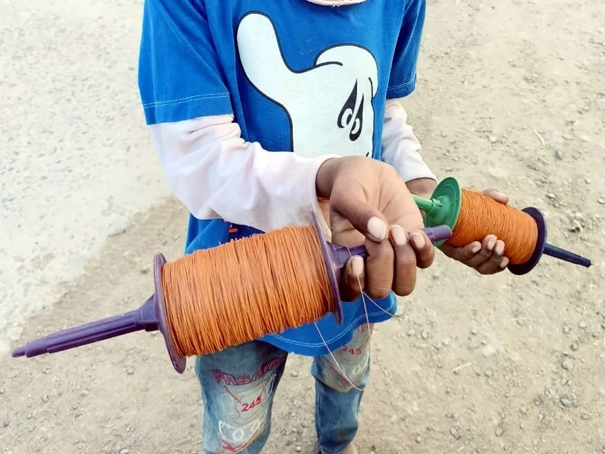 Deadly china door being sold even after the ban, people said - administration should stop the goods of death | नगर में पंतगबाजी का माहौल: प्रतिबंध के बाद भी बिक रही जानलेवा