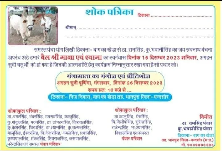 किसानों ने बैलों की मृत्यु पर शोक पत्र भी छपवाया।