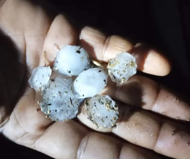 सिवनी जिले में आज तड़के 4 बजे बारिश के साथ ओले गिरे।