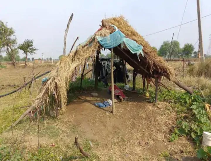 कवर्धा में इसी झोपड़ी में मां-बाप ने बेटे को करंट लगाकर तड़पा-तड़पाकर मारा।