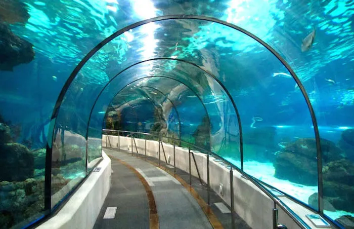 भारत को जल्द मिलने वाली है पहली अंडरवाटर मेट्रो, जानें पूरी जानकारी।