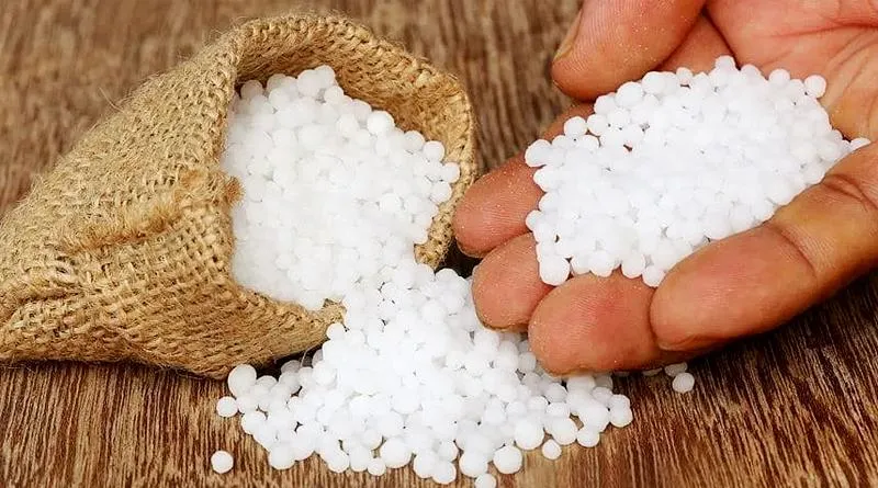 दानेदार यूरिया के प्रयोग से भरपूर लाभ