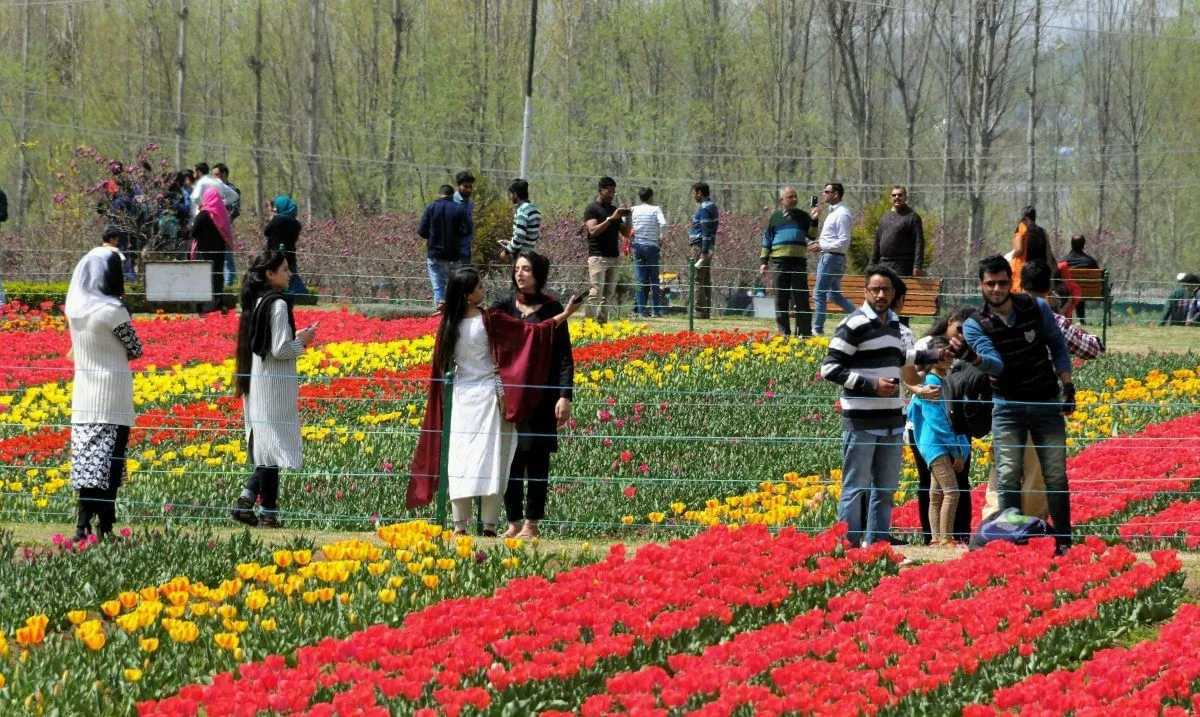 This is why the rest of India flocks to Asia's largest tulip garden