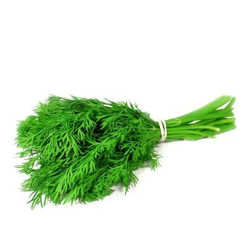 Dill Leaves (Soya)- सोया - HaridwarMart