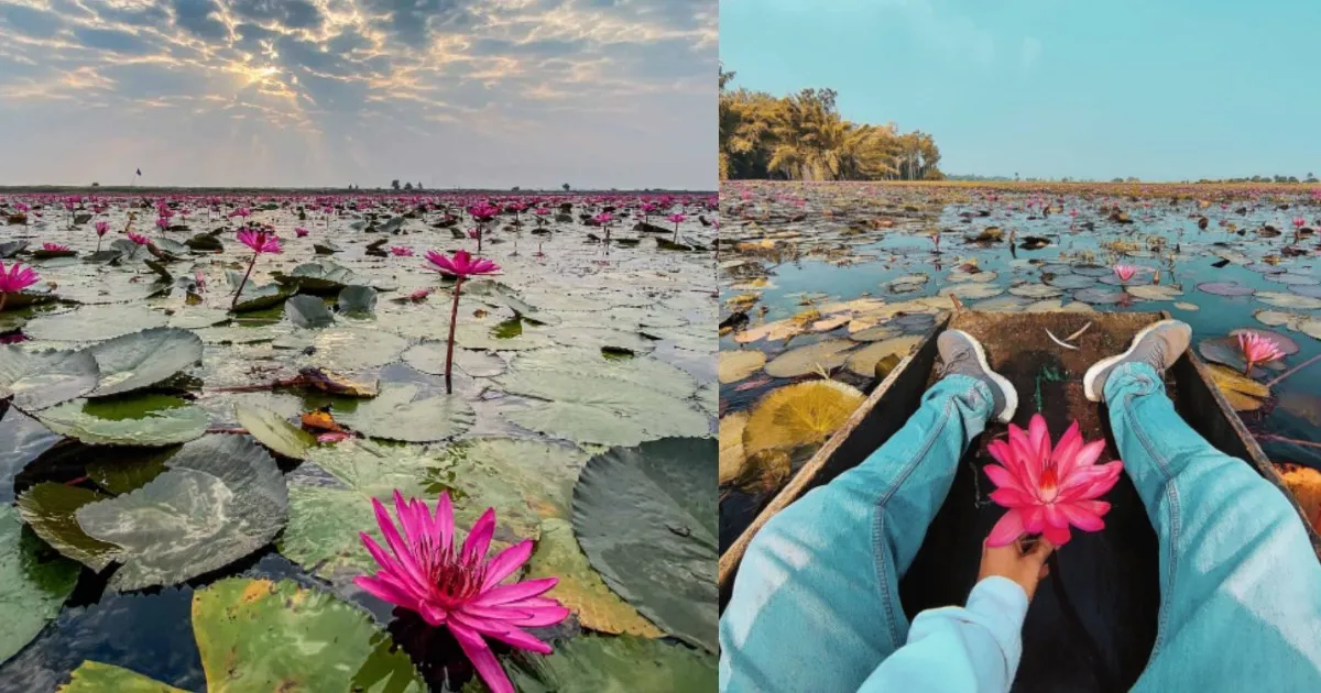 This Hidden Lake In Indore Gives You Kashmir Vibes With Breathtaking Views