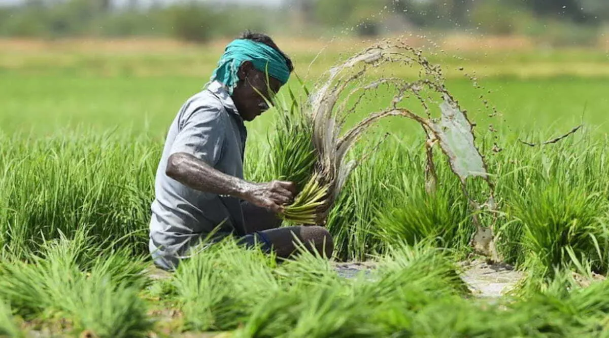 Which companies give the benefit of PM Fasal Bima Yojana and how much  subsidy is available know Detail- कौन कौन सी कंपनियां देती हैं Fasal Bima  Yojana का लाभ और कितनी मिलती