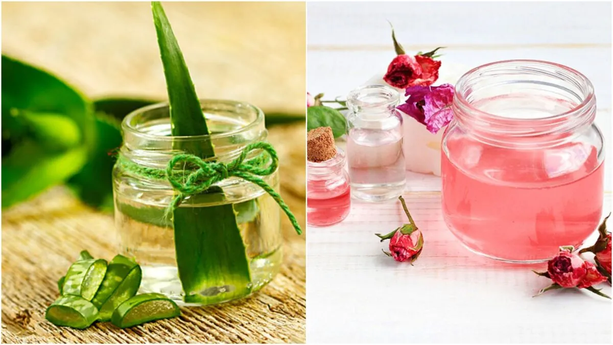 Rose water-aloe vera gel त्वचा संबंधी समस्याओं से दिलाएगा राहत